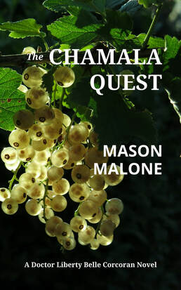 THE CHAMALA QUEST Sci-Fi Thriller Suspense Mystery Fiction Novel by Mason Malone